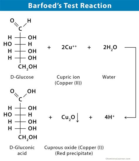 barfoed test procedure|Barfoed’s Test: Principle, Procedure, Reaction, and .